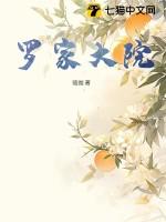 北京罗家大院是谁家的