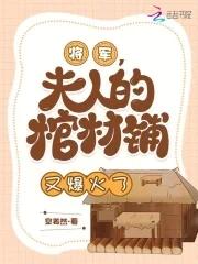 将军夫人圆房