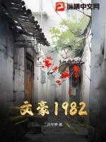 文豪1978无防盗章节