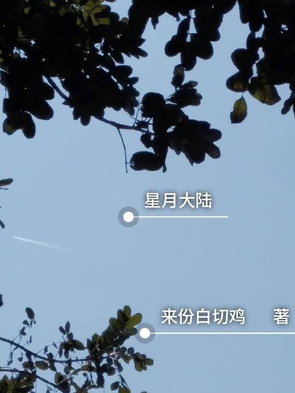 星月大陆游戏