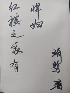 红楼之林家有字