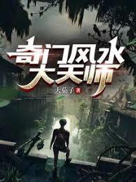 奇门风水大天师TXT正版