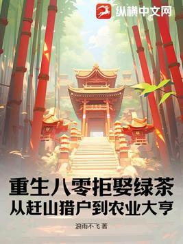 重生八零捡破烂全文阅读