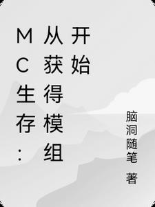 MC生存从获得模组开始