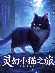 小灵猫画师